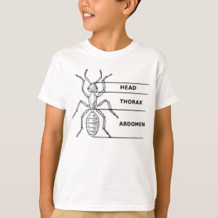 T-shirt Diagramme de fourmi
