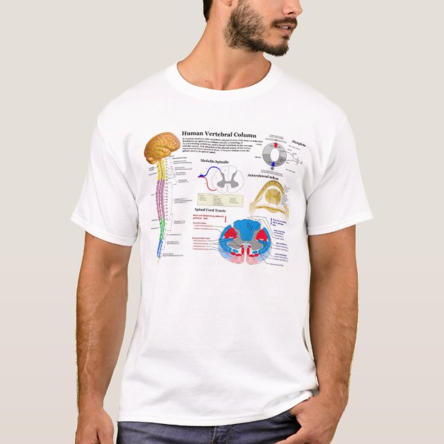 T-shirt Diagramme de la colonne vertébrale humaine (Devant)