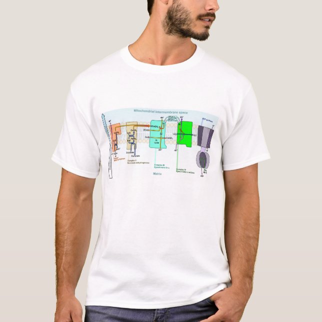 T-shirt Diagramme d'espace de Mitonchondrial Intermembrane (Devant)