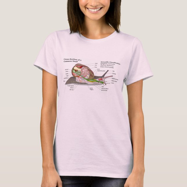 T-shirt Diagramme d'un escargot de jardin commun (Helix as (Devant)