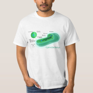 T-shirt Diagramme d'une cellule typique de Cyanobacteria