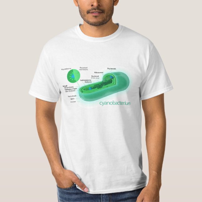 T-shirt Diagramme d'une cellule typique de Cyanobacteria (Devant)