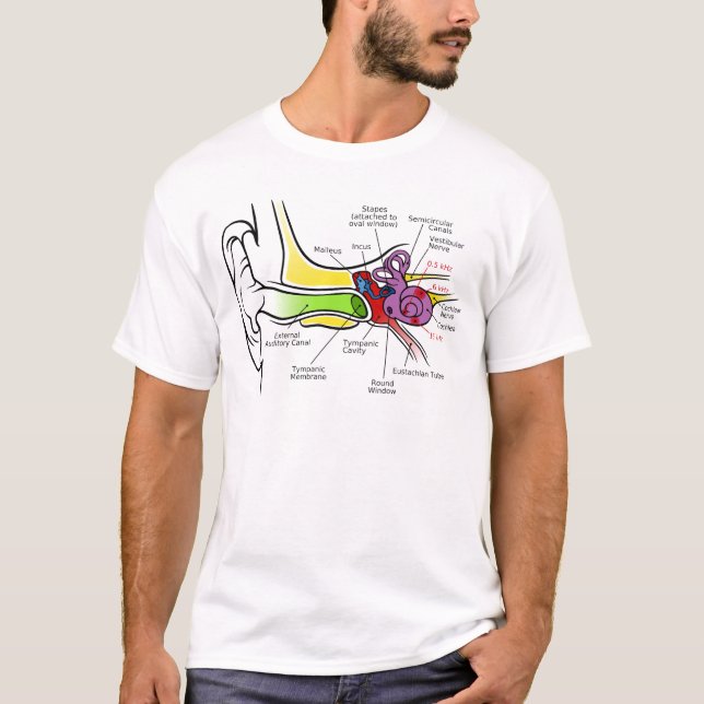 T-shirt Diagramme humain d'oreille avec la cartographie (Devant)
