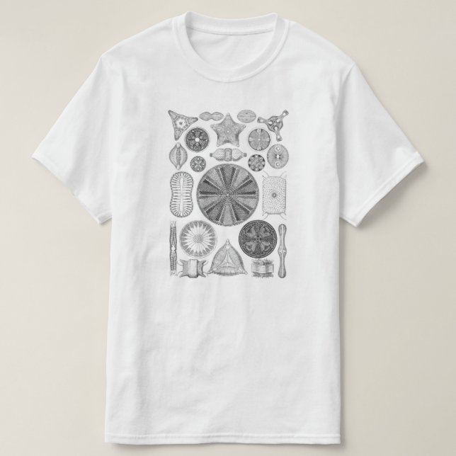 T-shirt Diatomées (Design devant)