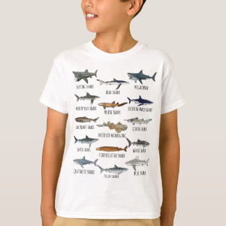 T-shirt Différentes Espèces De Requins Biologie Types De R