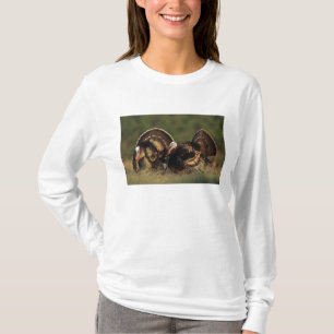 T-shirt Dindon sauvage, Meleagris gallopavo,mâles