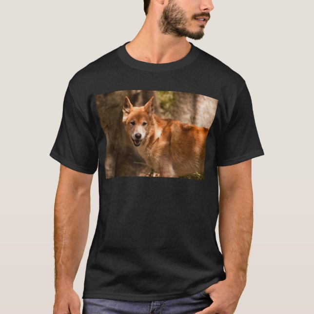 T-shirt Dingo australien (Devant)