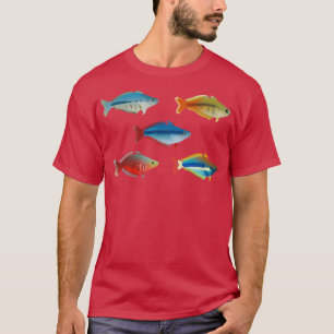 T-shirt Divers pack Chilantherina Rainbowfish