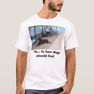 T-shirt Dobermann, ceci… Est comment les chiens devraient