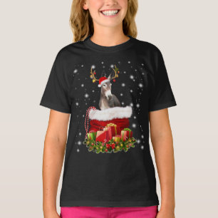 T-shirt Don d'âne à l'aube  Joyeux Noël à l'âne