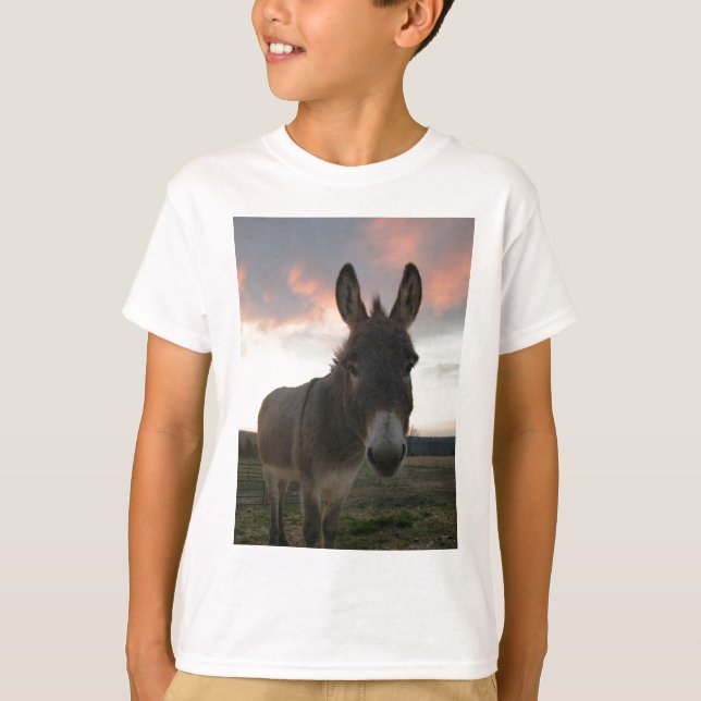 T-shirt Donkey Art (Devant)