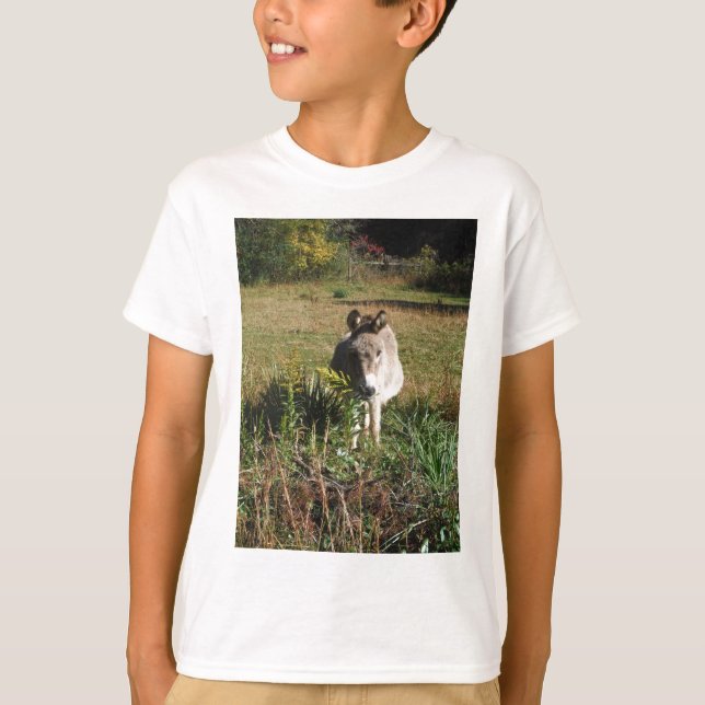 T-shirt Donkey picking yellow Autumn (Devant)