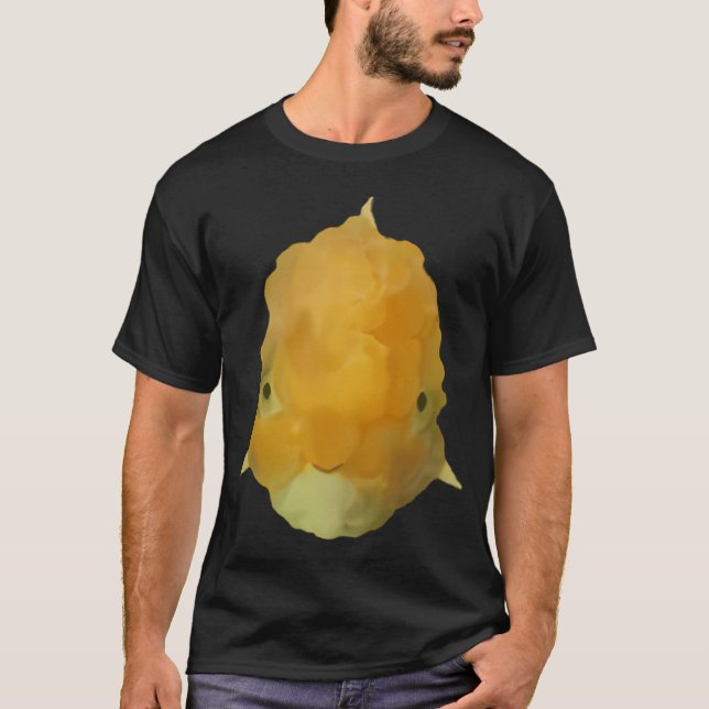 T-shirt Doré (Devant)