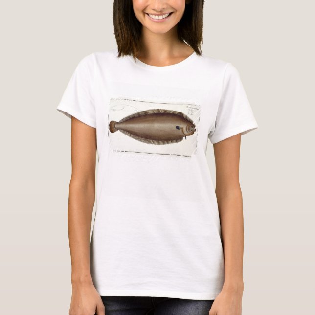 T-shirt Dover Sole (Solea Solaea) plate XLV from 'Ichthyol (Devant)