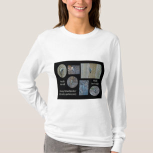 T-shirt Downy Woodpecker Composite Photos Articles