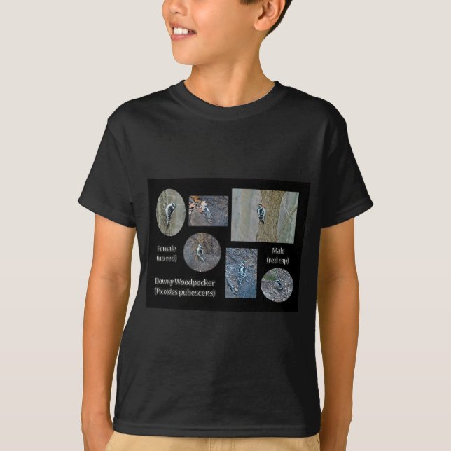 T-shirt Downy Woodpecker Composite Photos Articles (Devant)