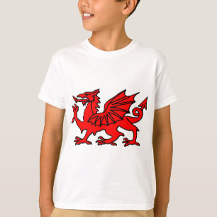 T-shirt Dragon de Gallois