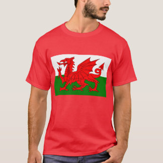 T-shirt Dragon de Gallois