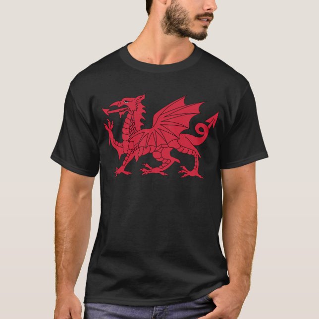 T-shirt Dragon de Gallois (Devant)