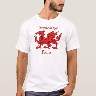 T-shirt Dragon d'Evans Gallois