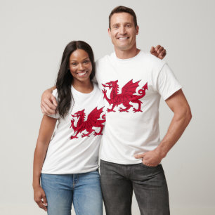 T-shirt dragon gallois