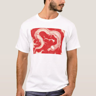 T-shirt Dragon, Hokusai