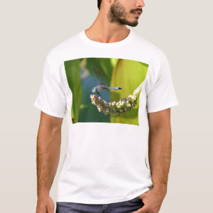 T-shirt Dragonfly aux yeux turquoises