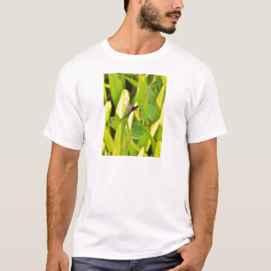 T-shirt Dragonfly Blue et noir sur l'herbe.
