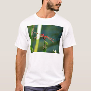 T-shirt Dragonfly frontale rouge et noire