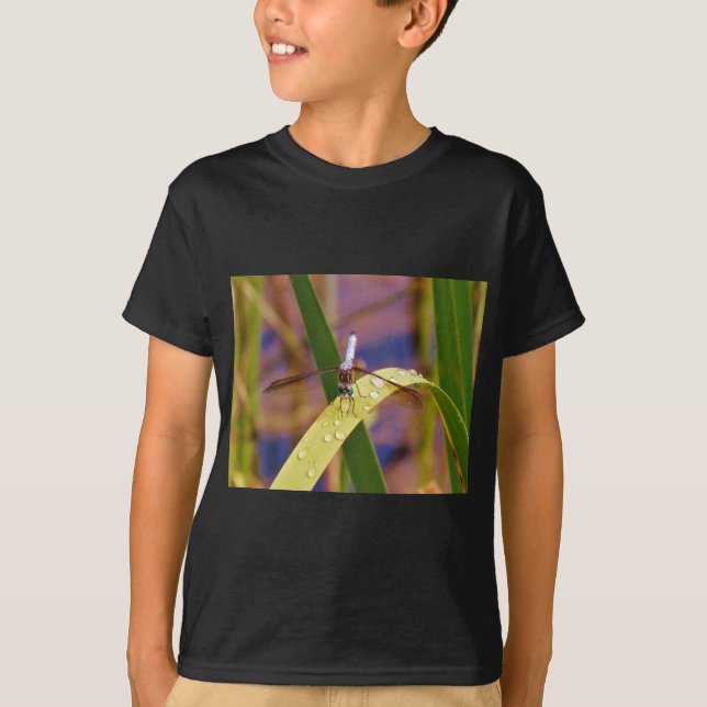 T-shirt Dragonfly sur la feuille de pluie (Devant)