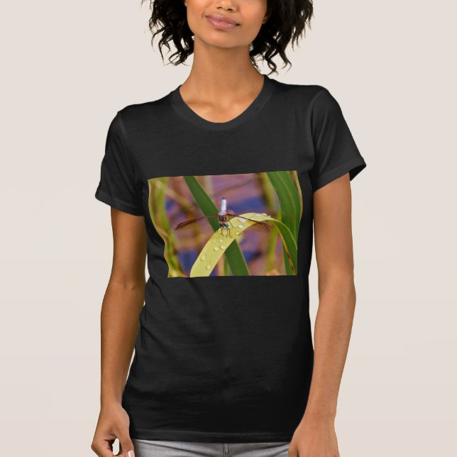 T-shirt Dragonfly sur la feuille de pluie (Devant)