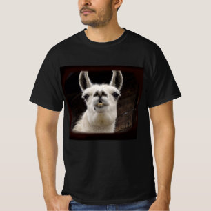 T-shirt Drame de lama – Je t'ai à l'œil