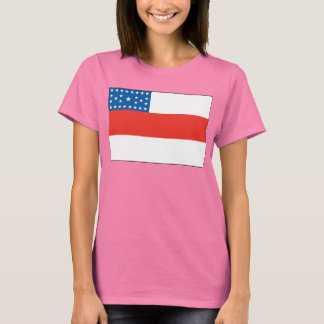T-shirt Drapeau Amazonas
