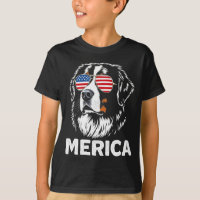 Drapeau américain merica montagne bernoise 4 juill