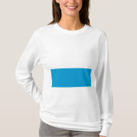 Drapeau bavarois
