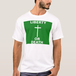 T-shirt Drapeau d'Arklow