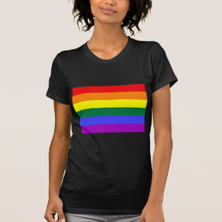 T-shirt Drapeau de base d'arc-en-ciel