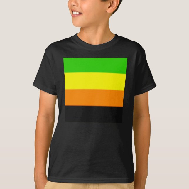 T-shirt Drapeau de la Fierté Aromantique (Devant)