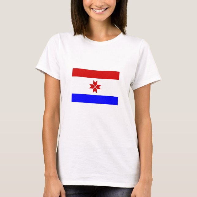 T-shirt Drapeau de la Mordovie (Devant)