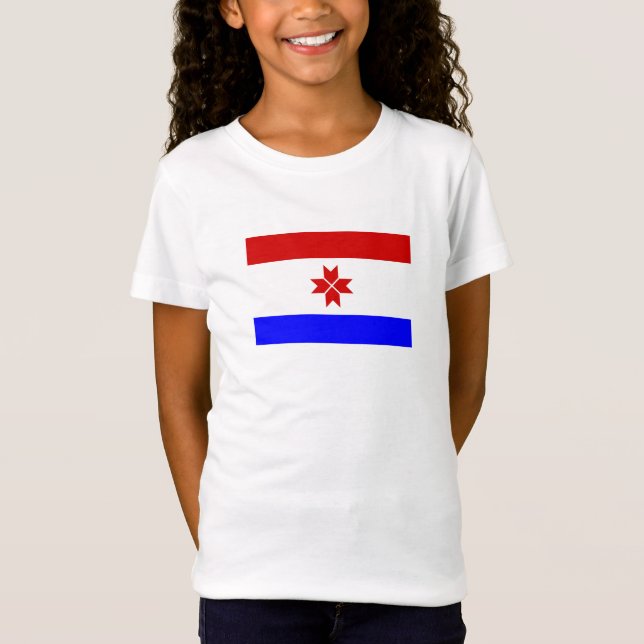 T-Shirt Drapeau de Mordovie (Devant)