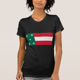 T-shirt Drapeau de Yucatan