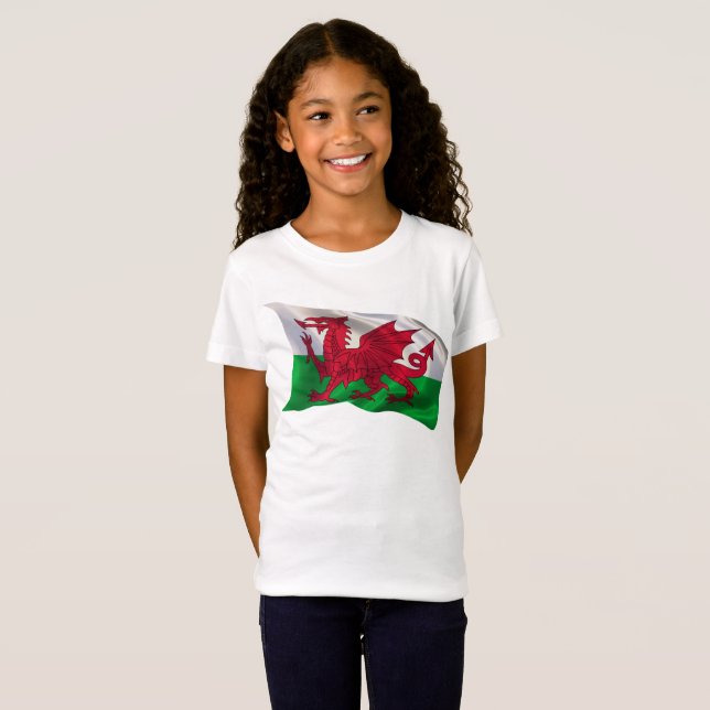 T-Shirt Drapeau du Pays de Galles (Devant entier)
