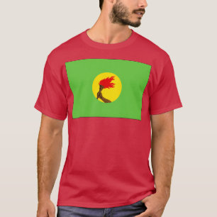 T-shirt Drapeau du Zaïre 1971 1997