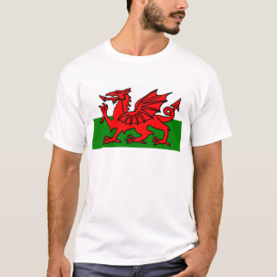T-shirt Drapeau gallois