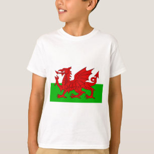 T-shirt Drapeau Gallois / Pays de Galles - Cymru Image de