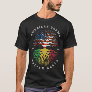 T-shirt Drapeau malien américain