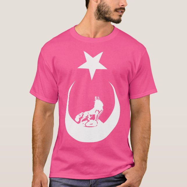 T-shirt Drapeau turc Bozkurt Grey Wolf (Devant)
