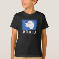 Drapeau vintage Antarctique