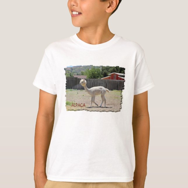 T-shirt drôle d'alpaga (Devant)