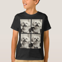 Drôle de vampire maltais y mignon chien costume d'